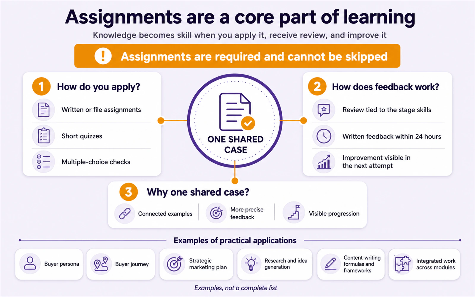 The assignment system for application, feedback, and improvement